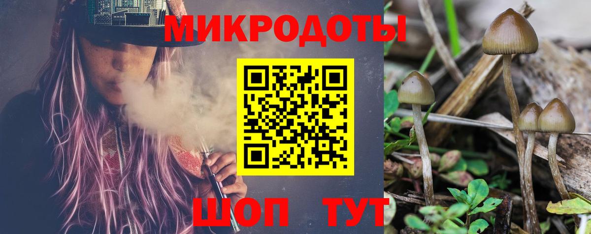 Псилоцибиновые грибы мицелий Буйнакск